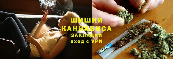 ГАЛЛЮЦИНОГЕННЫЕ ГРИБЫ Покачи